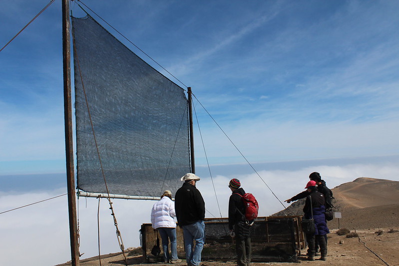 Investigadores usarán agua de niebla para regar el desierto de Atacama