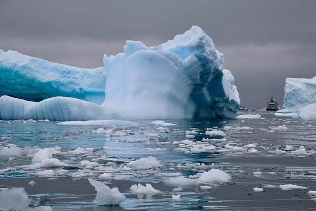 Buscarán moléculas con potencial terapéutico en la Antártica