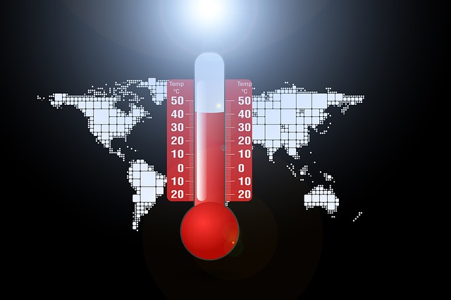 Nueva teoría explica cómo afecta la temperatura a los seres vivos