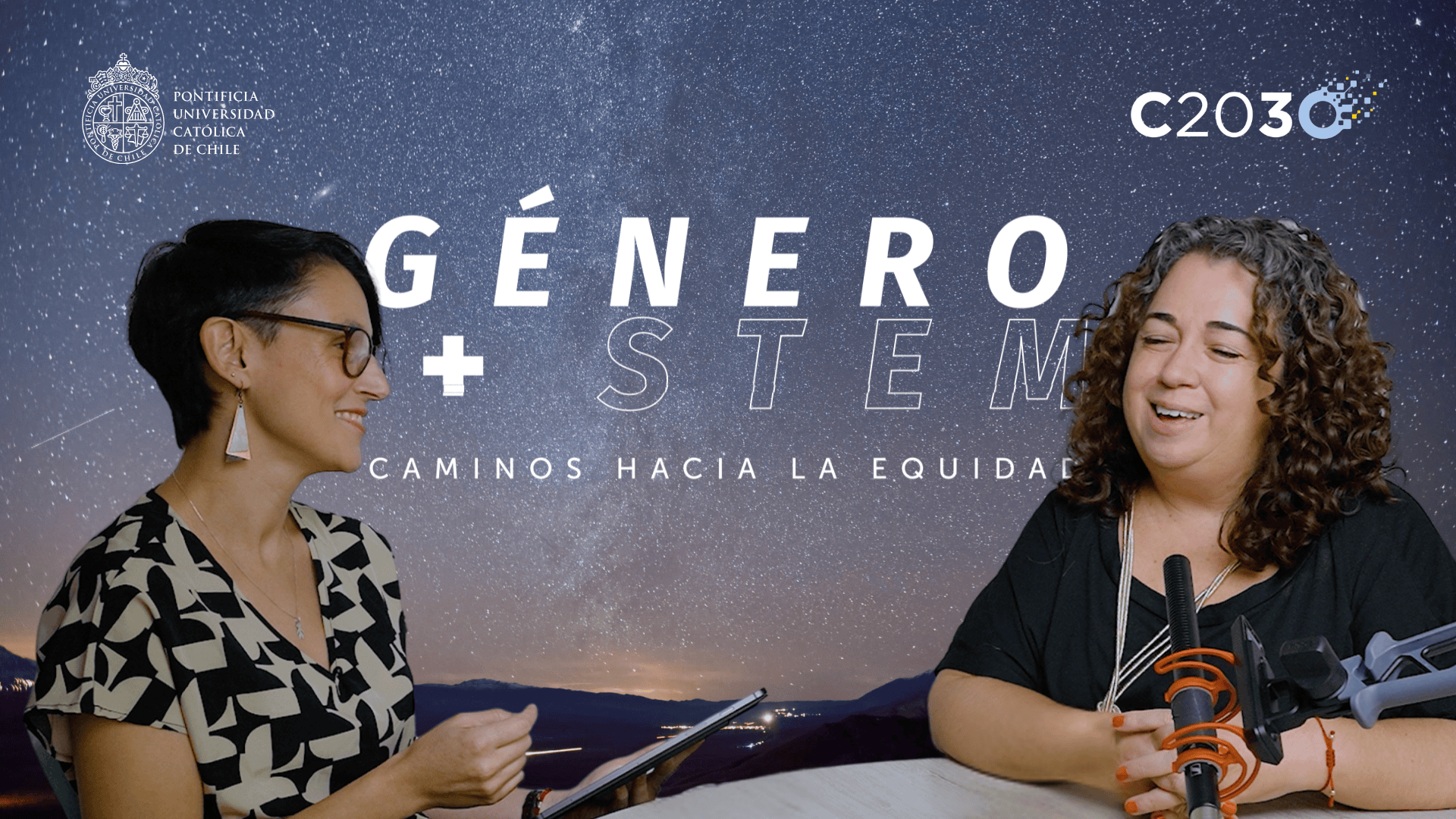 Capítulo 2. Julieta Suárez-Cao: Género y Acciones Afirmativas, El Cupo 