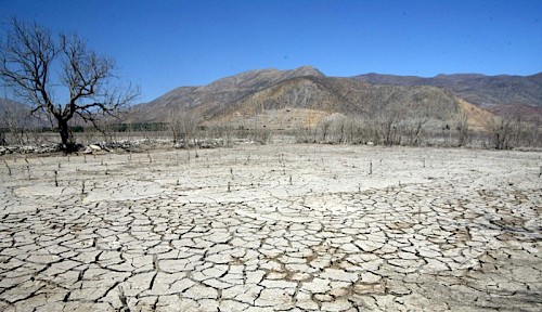 Proyecto UC propone reutilizar aguas grises para combatir la sequía